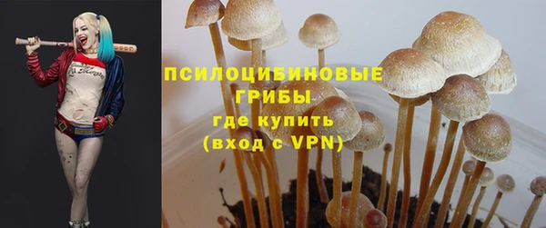винт Алзамай